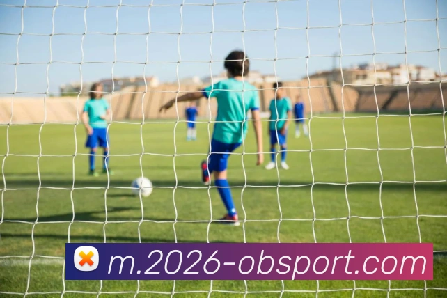 OB体育服务体系