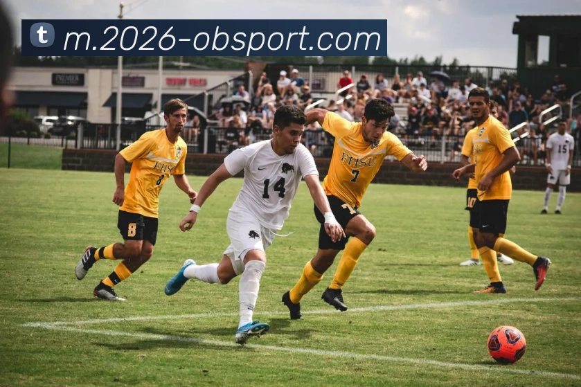 OB体育APP 体育赛事宣传图